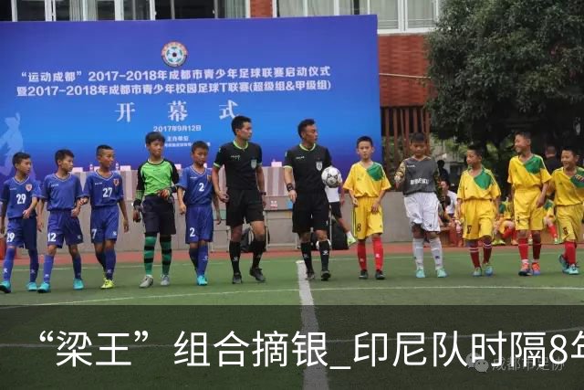 “梁王”组合摘银 印尼队时隔8年再夺亚运会男双冠军-国际在线