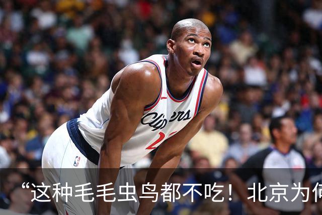 “这种毛毛虫鸟都不吃！北京为何今年特别多？答案让人意外”