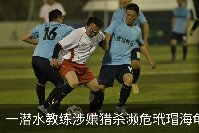 一潜水教练涉嫌猎杀濒危玳瑁海龟遭印尼移民局拦截，多方回应还原事件脉络
