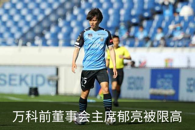 万科前董事会主席郁亮被限高