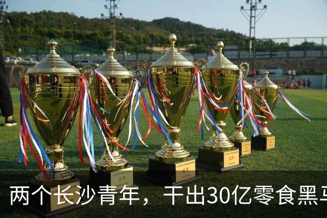 两个长沙青年，干出30亿零食黑马