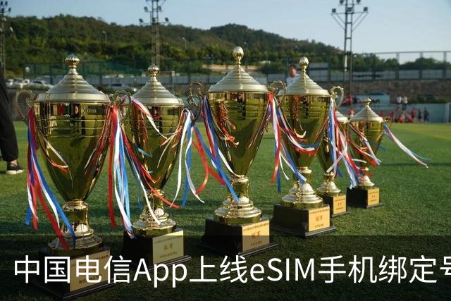 中国电信App上线eSIM手机绑定号码数量查询功能