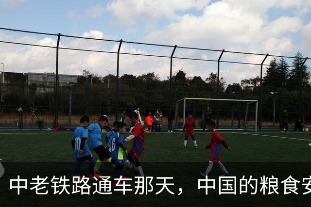 中老铁路通车那天，中国的粮食安全才真正松了一口气