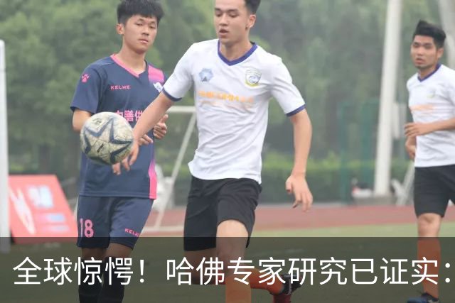 全球惊愕！哈佛专家研究已证实：中国不是在崛起，而是在逐步回归