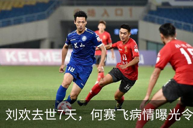 刘欢去世7天，何赛飞病情曝光令人揪心，与恩师之子离婚真相大白