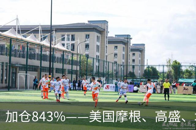 加仓843%——美国摩根、高盛、北向锁定国资委唯一亲儿子，芯片唯一低估真龙藏不住了？