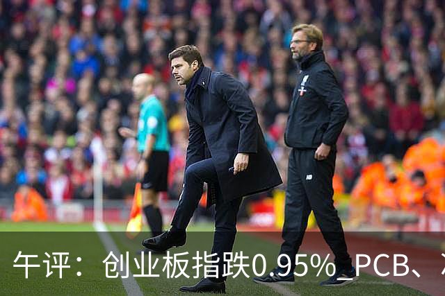 午评：创业板指跌0.95% PCB、冰雪旅游概念走强