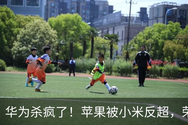 华为杀疯了！苹果被小米反超，荣耀跌到第六：2026年8月手机市场彻底变天