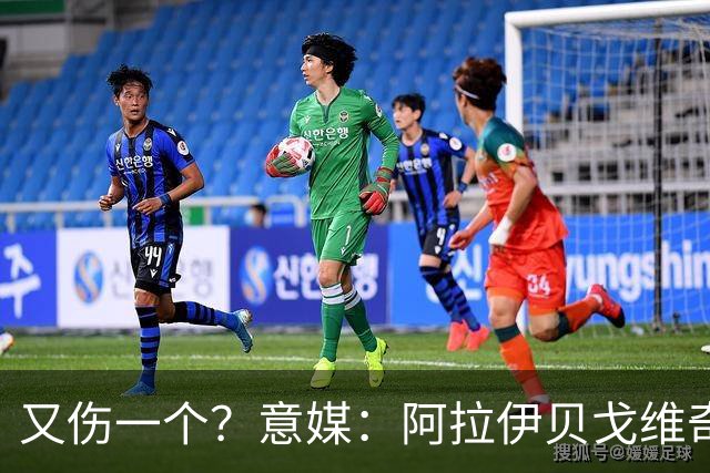 又伤一个？意媒：阿拉伊贝戈维奇在波黑比赛中因肌肉不适被换下