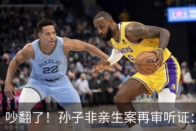 吵翻了！孙子非亲生案再审听证：女方提交"恩爱截图"，妹妹当场念出要钱清单，老人近两年未见孙子