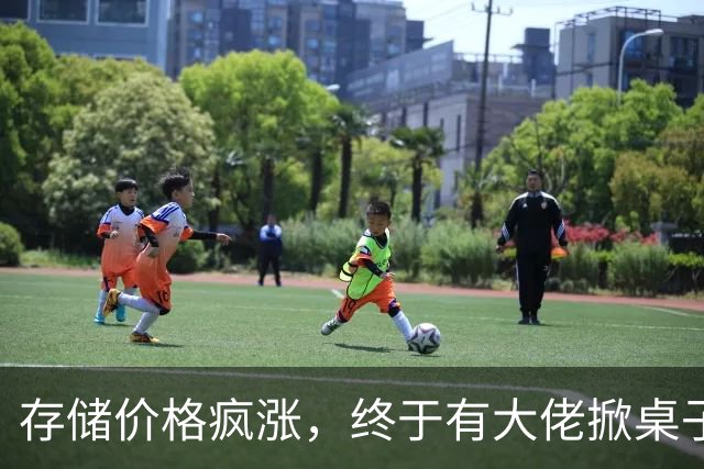 存储价格疯涨，终于有大佬掀桌子了