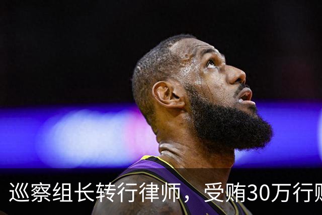 巡察组长转行律师，受贿30万行贿145万，被判4年半