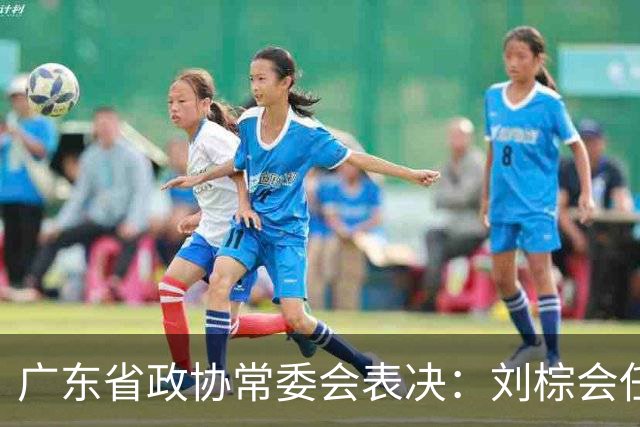 广东省政协常委会表决：刘棕会任副秘书长