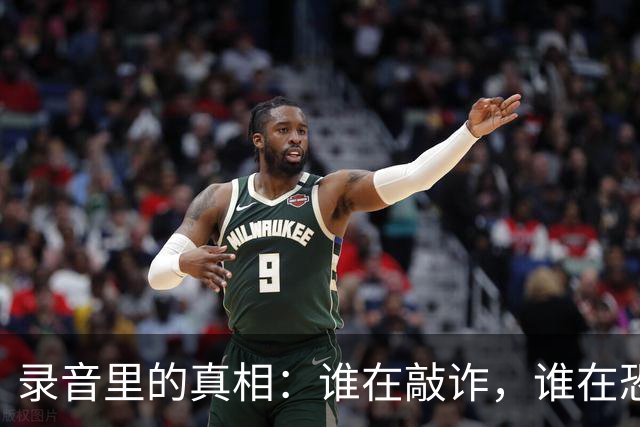 录音里的真相：谁在敲诈，谁在恐惧？ ——六评赵瑞胜案
