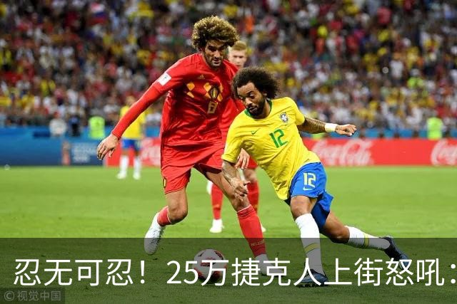 忍无可忍！25万捷克人上街怒吼：我们拒绝成为下一个匈牙利