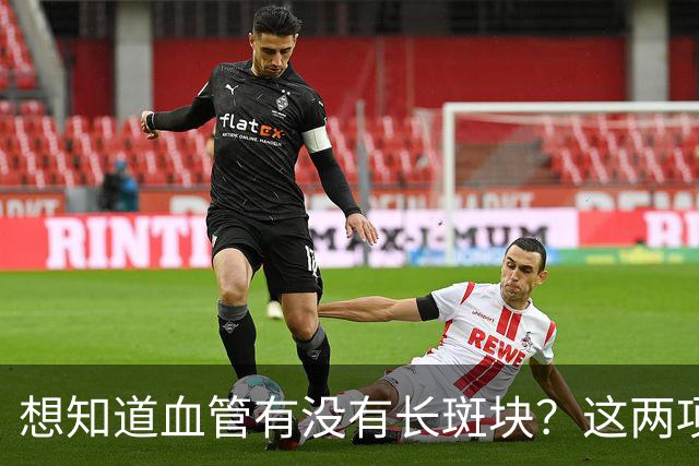 想知道血管有没有长斑块？这两项指标就够了，别再“蒙着走”！