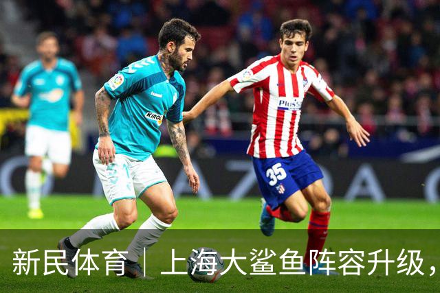 新民体育｜上海大鲨鱼阵容升级，引进这位NBA全明星后卫