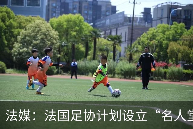 法媒：法国足协计划设立“名人堂”，德尚、齐达内成首批入选热门