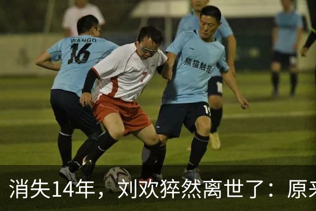 消失14年，刘欢猝然离世了：原来当年的“隐退”，早就写好了结局