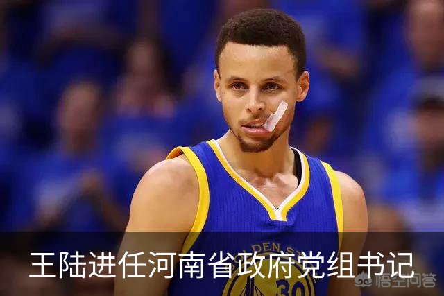 王陆进任河南省政府党组书记