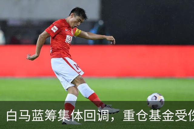 白马蓝筹集体回调，重仓基金受伤有多深？