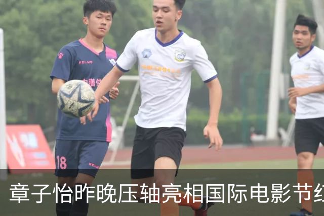 章子怡昨晚压轴亮相国际电影节红毯，瘦身后脸部浮肿已消失，又美回来了！