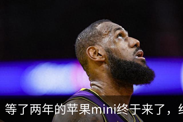 等了两年的苹果mini终于来了，结果给网友整不会了