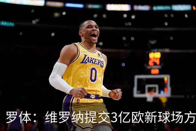 罗体：维罗纳提交3亿欧新球场方案，计划容纳3万人