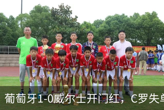 葡萄牙1-0威尔士开门红，C罗失单刀+良机，5.8分全场垫底引争议