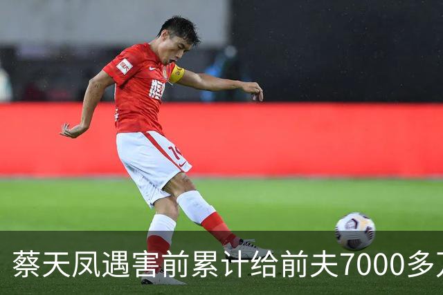 蔡天凤遇害前累计给前夫7000多万，蔡母称她因拒绝再打钱惹怒男方