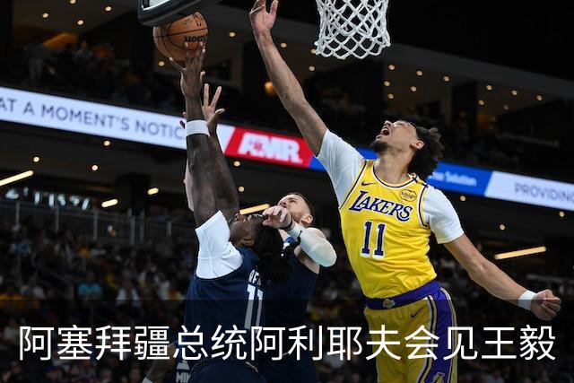 阿塞拜疆总统阿利耶夫会见王毅