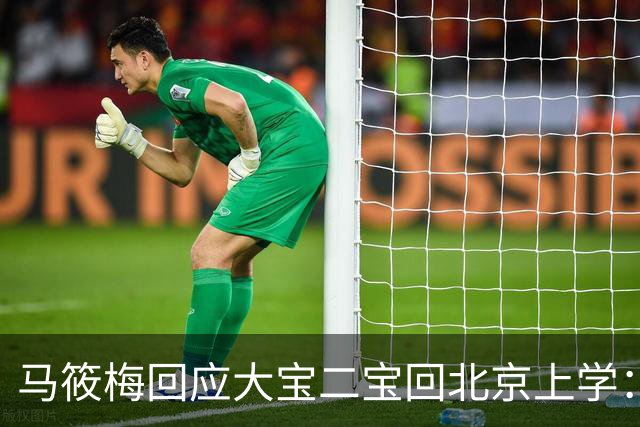 马筱梅回应大宝二宝回北京上学：不是我能做主