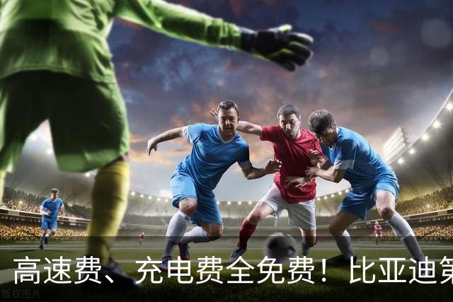 高速费、充电费全免费！比亚迪第2000座闪充高速站，在江苏扬州落成