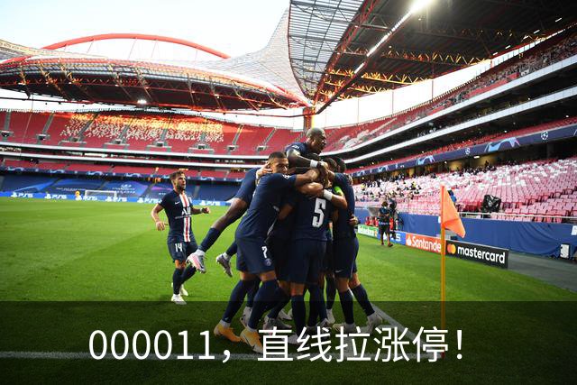 000011，直线拉涨停！