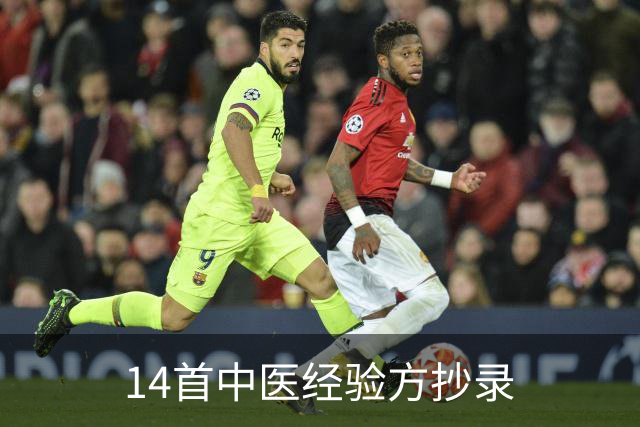 14首中医经验方抄录