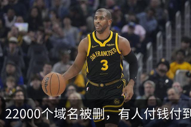22000个域名被删，有人付钱付到了2040年