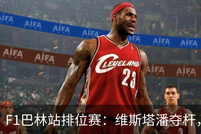 F1巴林站排位赛：维斯塔潘夺杆，汉密尔顿、哈贾尔分列二三